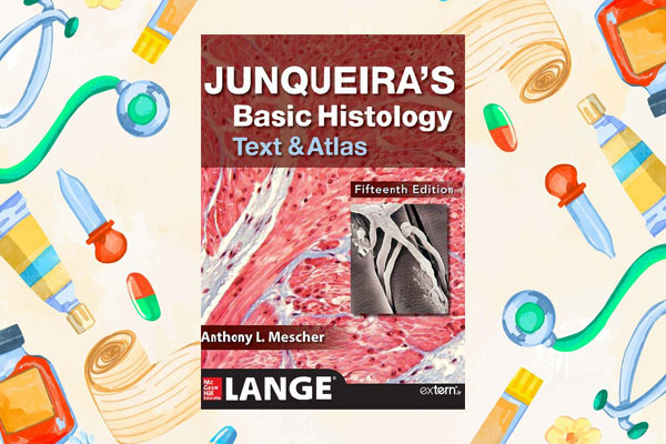 بررسی ساختار کتاب 